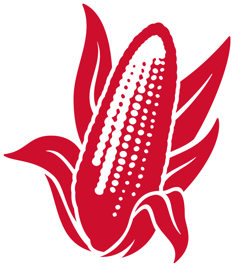 Nebraska Cornhuskers 2023-Pres Throwback Logo diy iron on heat transfer